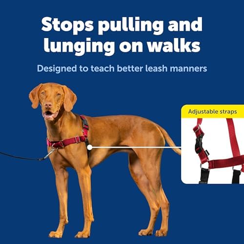 PetSafe Easy Walk Harness, No Pull Dog Harness, Deep Purple, Medium/Large - Image 3