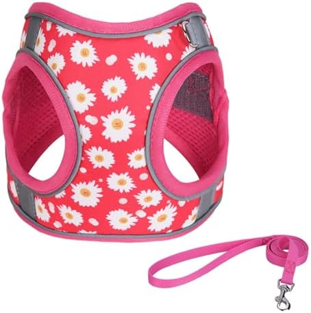 Step in Dog Harness No Pull Flower Adjustable Soft Mesh Harness by KocaPlye