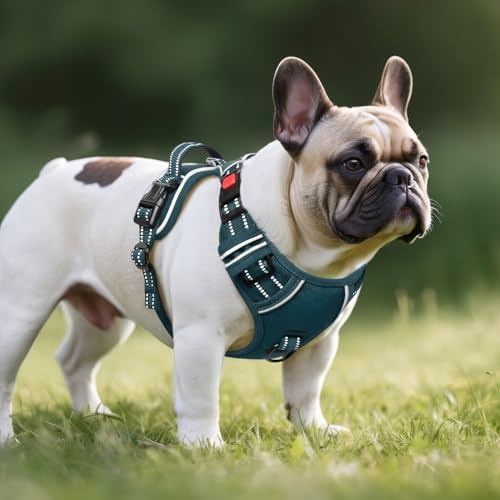 Timos Small Dog Harness, No Pull No Choke, Easy On & Off - Image 6