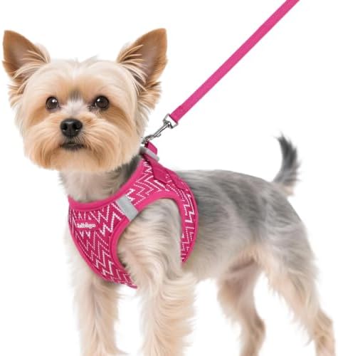 rabbitgoo Dog Harness Small Sized and Leash Set, Step in Soft Vest by rabbitgoo