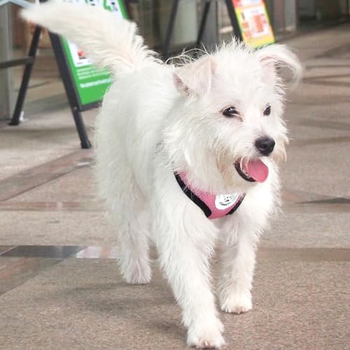 Hypeety Dog Vest Harness No-Pull Reflective Step-in Air Mesh Vest - Image 5