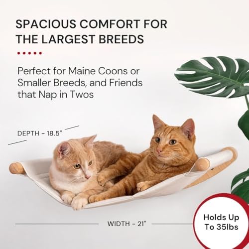 7 Ruby Road Cat Wall Hammock for Large Cats, Cat Wall Bed - Image 3