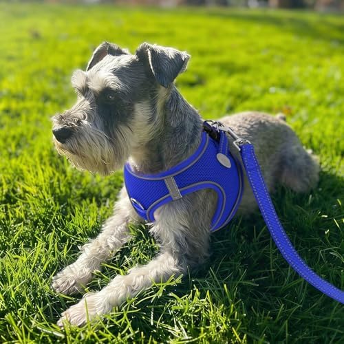 Joytale Step-in Dog Harness, Soft Breathable Mesh - Image 2
