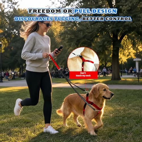 Freedom No Pull Dog Harness - Image 6