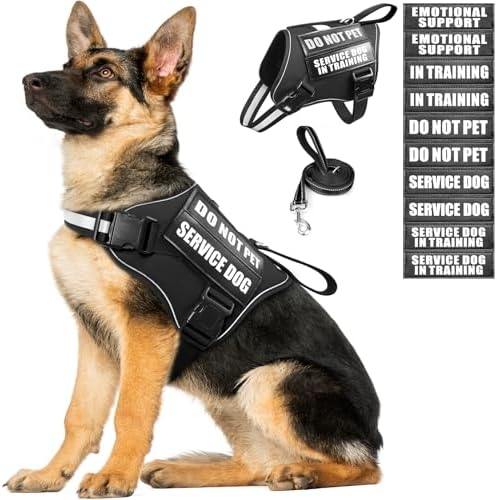 Service Dog Vest Harness and Leash Set+10 Patches, No Pull&Easy Walk Reflective by MOOGROUPETSFRIEND