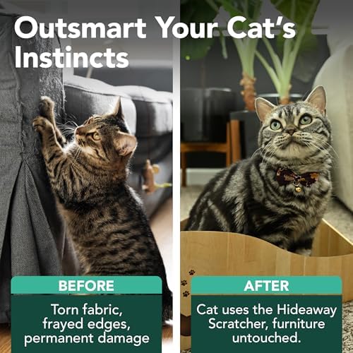 Hideaway Cat Scratcher Box for Indoor Cats - Image 3