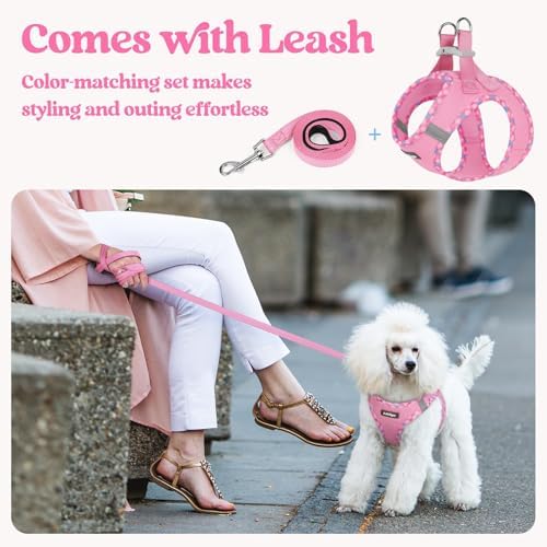 rabbitgoo Dog Harness Small Sized and Leash Set, Step-in Puppy Pet Vest - Image 6