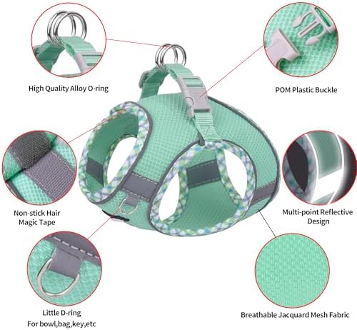 AIITLE Dog Harness and Leash Set - Image 2