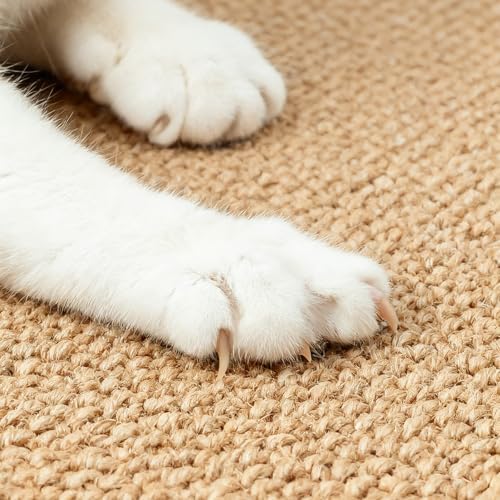 Extra Large Cat Scratcher Mat - Image 5