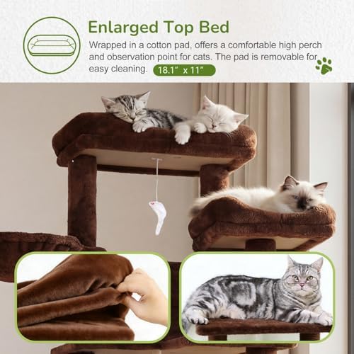 68 Inches Multi-Level Large and Tall Cat Tree Tower - Image 5