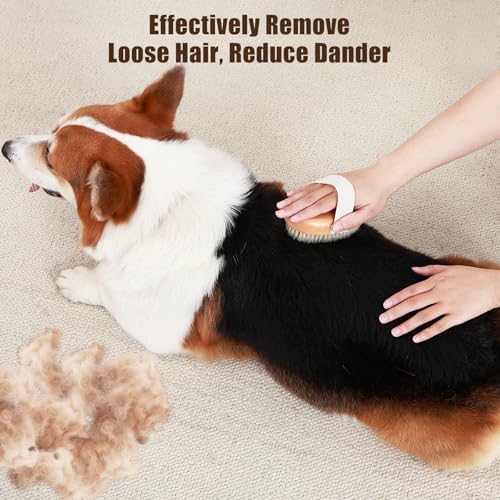 Soft Boar Bristle Pet Palm Brush - Image 2