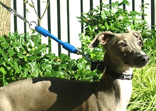 BUNGEE DOG LEASH EXTENSION – Patented Shock Absorber Attachment Protects You - Image 5