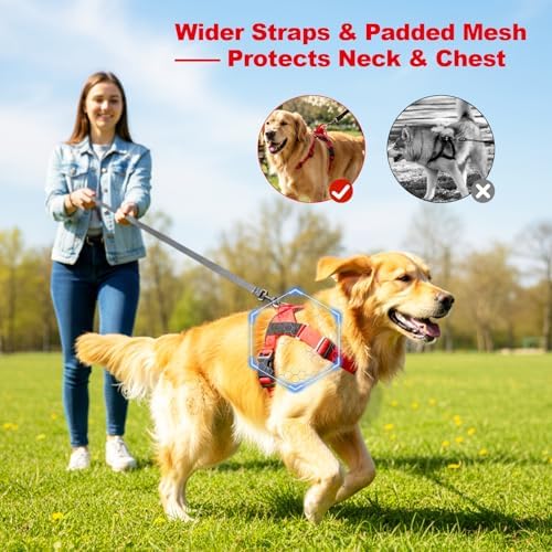 Pawly Lab Co No-Pull Harness, 3-Point Adjustable & Reflective（XL） - Image 4