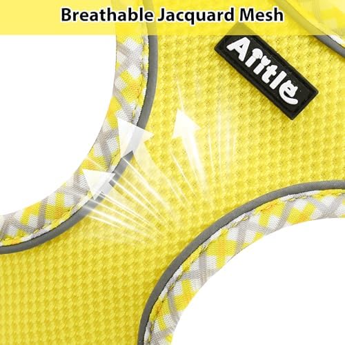 AIITLE Medium Dog Harness and Leash Set - Image 3