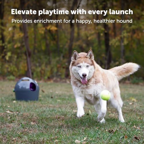PetSafe Automatic Dog Ball Launcher - Image 2