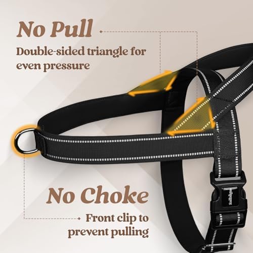 rabbitgoo Dog Harness No Pull, Quick Fit - Image 3