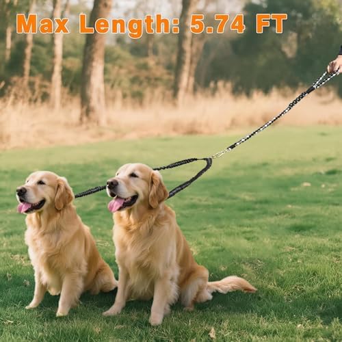 Double Dog Leash – Tangle-Free Dual Leash - Image 6