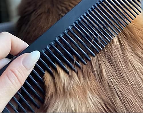 Chicago Comb No. 9 Pet, the XL Comb - Image 4