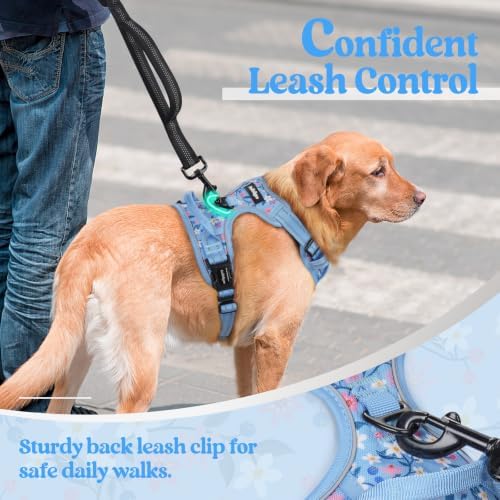rabbitgoo Dog Harness, No Pull for Large Dogs - Image 6