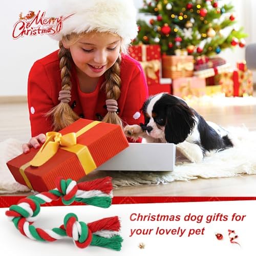 SZEE Dog Rope Toys 2 Pcs - Image 2
