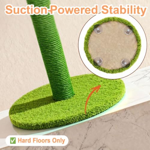 Sunflower Interactive Cat Toys for Indoor Cats, Cute Cat Scratch Post - Image 4