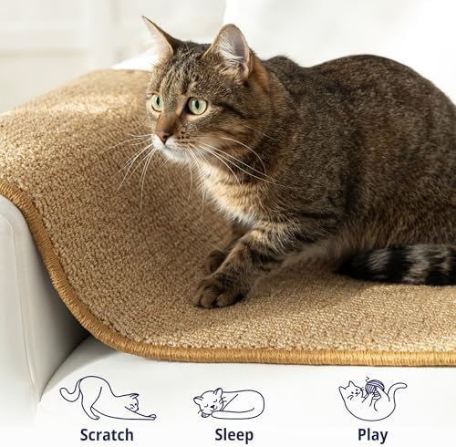 Cat Wall Climbing Carpet - Image 5
