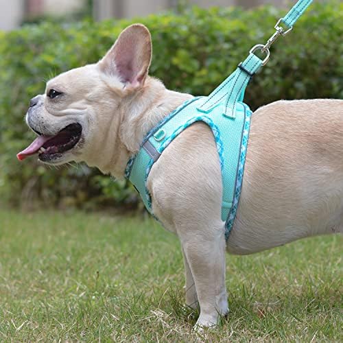 Mercano Soft Mesh Dog Harness and Leash Set, Step-in Reflective Breathable - Image 5