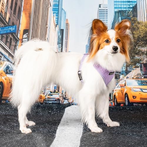 Puppia Dotty Dog Harness A Fashionable Polka Dot Pattern Spring Summer Harness - Image 4