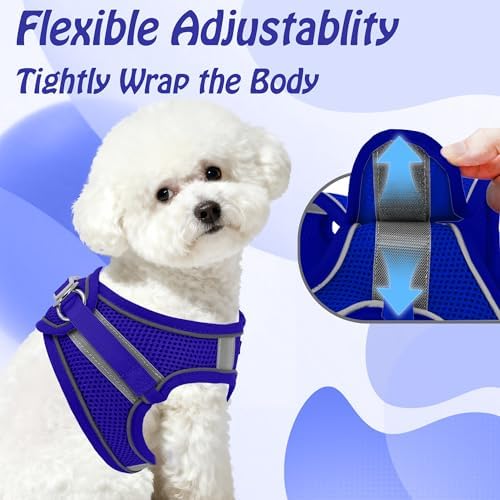 AIITLE Dog Harness and Leash Set, Step-in Puppy Pet Vest, Royal Blue XXS - Image 6