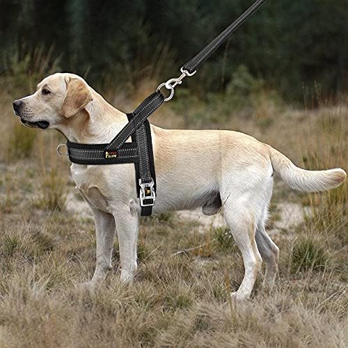 Plutus Pet No Pull Dog Harness for Medium Sized Dog, Breathable Mesh Padded - Image 5