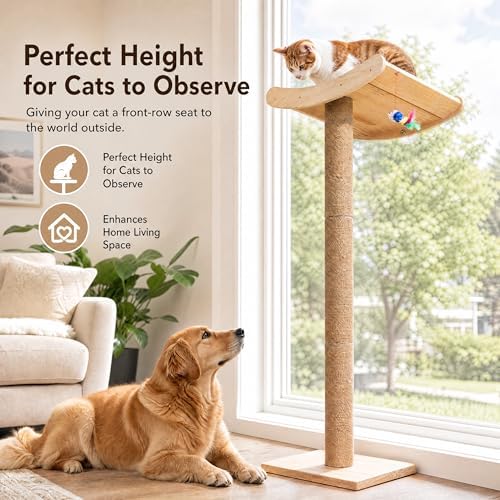 Cat Window Perch with Scratching Posts, 46-Inch Wooden Tree - Image 6