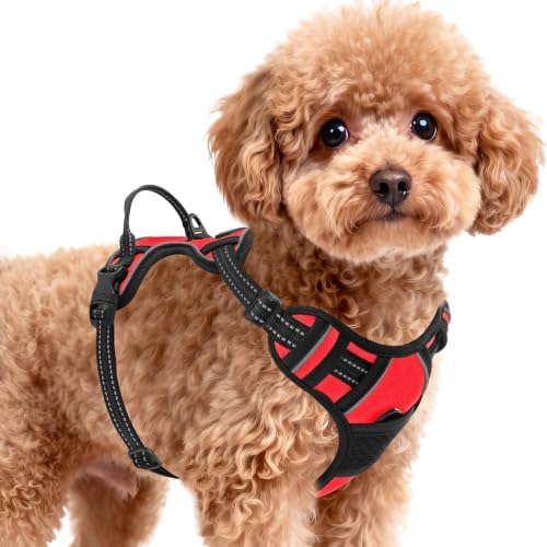 BARKBAY Dog Harness for Small Sized Dog No Pull 2 Leash Clips Dog Vest by BARKBAY