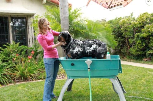 Booster Bath Elevated Pet Bathing - Image 4