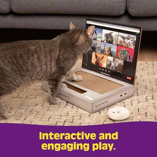 ScratchPad Pro — Cardboard Laptop Cat Scratcher by Relatable - Image 3