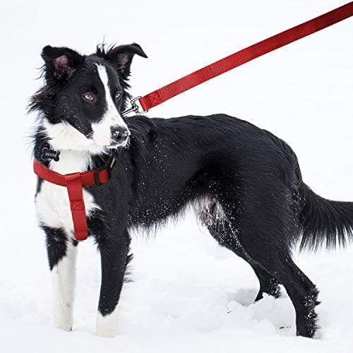 No Pull Dog Harness, Leash & Collar Set, Adjustable Step-in Vest - Image 5