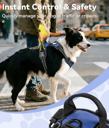 Joytale No Pull Dog Harness Medium Sized Dog, Front Clip - Image 3