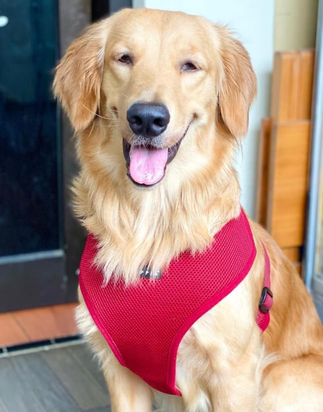 Puppia Soft Dog Harness - Image 6