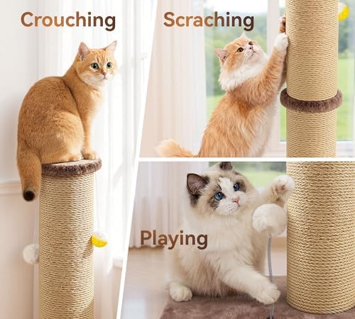 5-Inch Sisal Cat Scratching Post - Image 5
