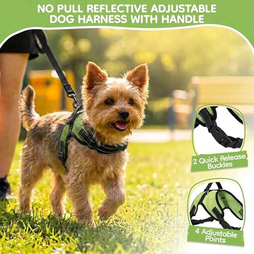 No Pull Reflective Adjustable Dog Harness - Image 2
