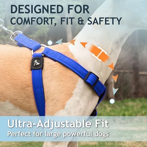 Kruz No Pull Dog Harness Heavy-Duty Pet Harness - Image 4