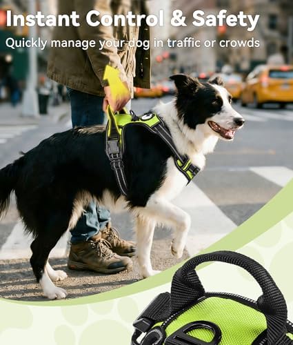 Joytale No Pull Dog Harness for Small Dogs, Front Clip - Image 3