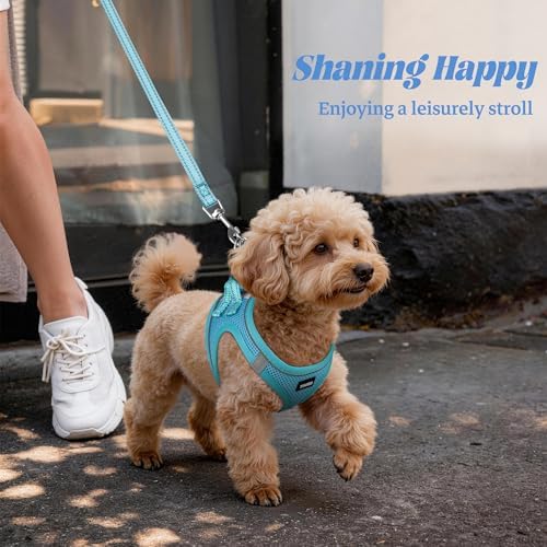 No Pull Dog Puppy Harness and Leash Set Reflective Mesh Vest XX-Small - Image 6
