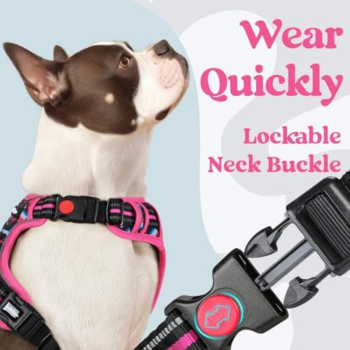 rabbitgoo Dog Harness Small Sized, Updated Easy On & Off - Image 3