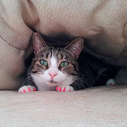 40 Pack Soft Nail Caps for Cat Claws Soft Pink Small