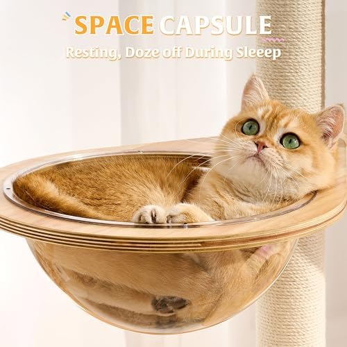 HITTITE Solid Wood Cat Tree Tower - Image 4