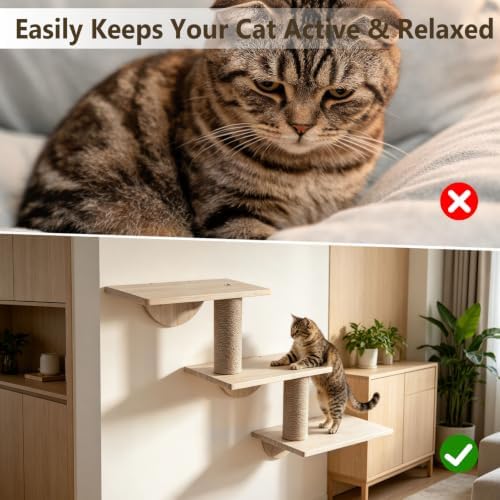 Cat Wall Ladder, 3-Level Cat Climbing Shelf, Solid Pine Wood Pet Wall Perch - Image 6