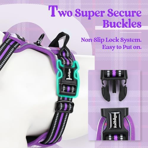 rabbitgoo Dog Harness, No Pull Medium Sized - Image 3