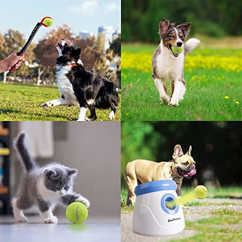 PetPrime 6PCS 2" Tennis Balls, Suitable - Image 6
