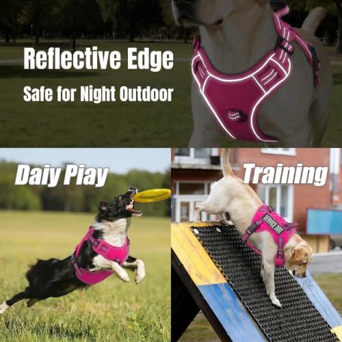 Dog Harness and Leash Set for Small Dogs, No Pull Tactical Dog Harness - Image 7