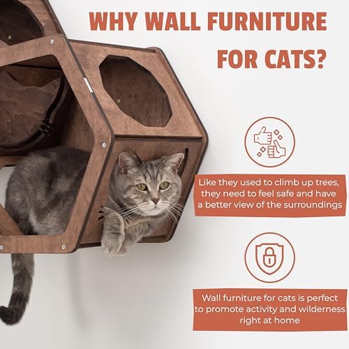 Wall Cat Shelves Wood Cat Wall Shelves Furniture - Image 3